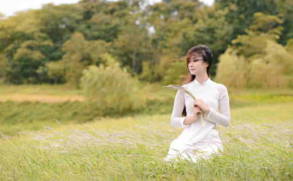 专业团队服务展示